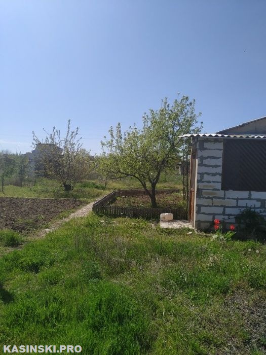 Продаж будинку. Зайчівське. Миколаївська область-6