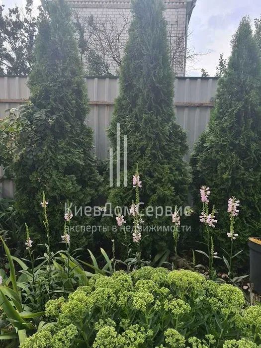 Продаж будинку. Київ. Київська область-22